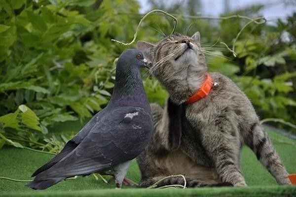 image de douceuretdetente 