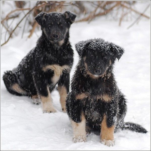 image de douceuretdetente