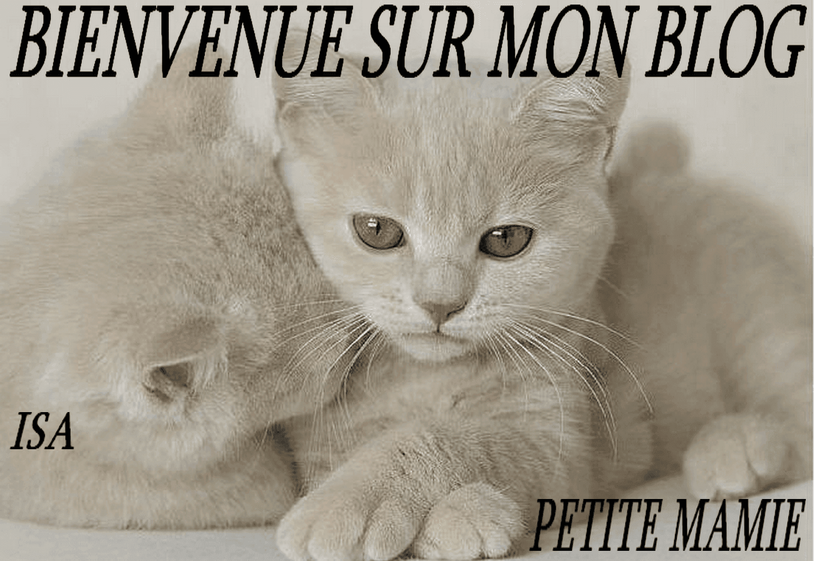 BIENVENUE A.............